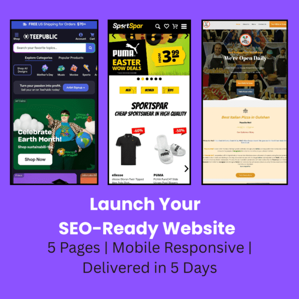 Starter website design service by Digital IT Centre – SEO-optimized 5-page responsive website with plugin setup